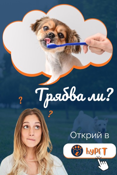 hypet