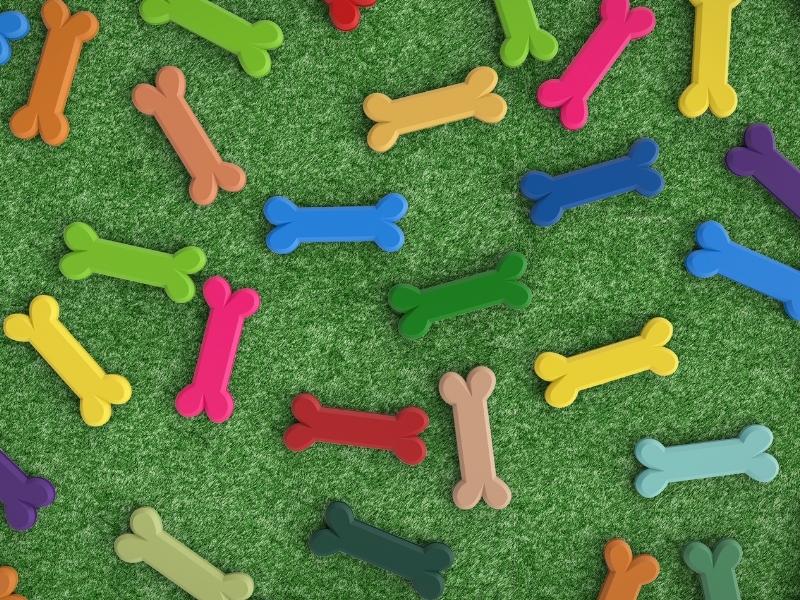 pet-releaf-dog-favorite-color