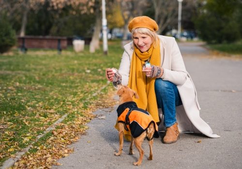 cbd-pet-releaf