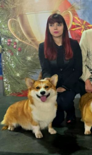 Снимка 3